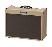 Roland Blues Cube Artist