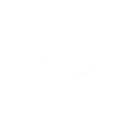 BlueSpot Tools 08186 Combinazione Pinze 200mm (8in)