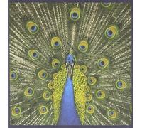The Bluetones Expecting to Fly (CD) Album