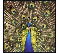 Bluetones - Expecting to Fly