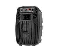 Batteria portatile. Altoparlante karaoke FM USB Bluetooth LED RGB 10W Music Box Mini