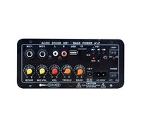 Bluetooth Scheda Audio Degli Speaker 30-120W 220V/12V/24V Subwoofer Mono AMP