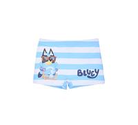 BlueY Costume da Bagno per Ragazzi, Pantaloncini da Bagno Bingo Design, Costumi da Bagno per Bambino, Taglie 3 a 6 Anni (IT, età, 3 Anni, Regular, Multicolore)