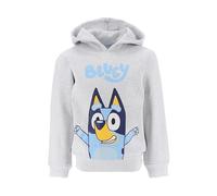 BlueY Felpa da Ragazzo, Design Maglione, Felpa in Tessuto Morbido, Felpa con Cappuccio per Ragazze, Regalo per Bambini, Taglia 4 Anni | Grigio