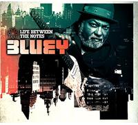 Bluey - Life Between The Notes