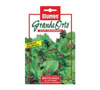 BLUMEN MISTICANZA DI LATTUGHINE DA TAGLIO 4 STAGIONI