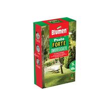 Blumen Prato Forte OMBREGGIATO 500 gr, Verde