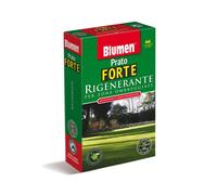 Blumen Prato Forte rigenerante per Zone ombreggiate