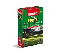 Blumen Prato Forte rigenerante per Zone ombreggiate