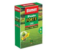 Blumen Prato Forte Turbo - Sementi