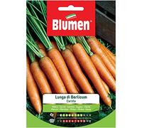BLUMEN SEMENTI, CAROTA LUNGA DI BERLICUM