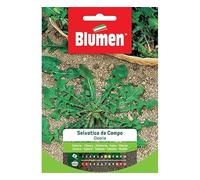 BLUMEN SEMENTI, CICORIA SELVATICA DA CAMPO