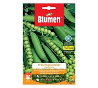 BLUMEN SEMENTI, PISELLO NANO GRANO RUGOSO RAINER