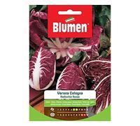 BLUMEN SEMENTI, RADICCHIO ROSSO VERONA COLOGNA
