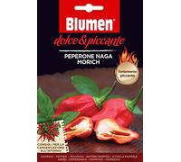 Blumen Semi di PEPERONE NAGA MORICH