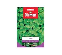 Blumen semi Origano