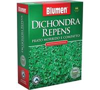 Blumen semi prato dichondra repens 200 gr