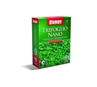 Blumen semi prato trifoglio nano 500 g - 96118