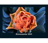 Blumenzauber 2025 Fotokalender DIN A5: Monatskalender mit Bild-Motiven aus Fauna und Flora, Natur, Blumen und Pflanzen