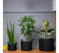 Blumfeldt Set di sacchi per piante