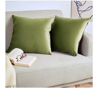 Blumtal Set di 2 Federe Cuscini Divano 30x50 cm in Velluto, con Chiusura Lampo Invisibile, Eleganti Copricuscini Divano in Morbido Velluto,Taglia 30 x 50, Verde