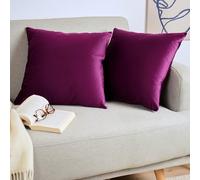 Blumtal Set di 2 Federe Cuscini Divano 40x60 cm in Velluto, con Chiusura Lampo Invisibile, Eleganti Copricuscini Divano in Morbido Velluto,Taglia 40 x 60, Melanzana