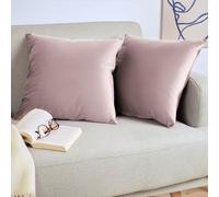 Blumtal Set di 2 Federe Cuscini Divano 45x45 cm in Velluto, con Chiusura Lampo Invisibile, Eleganti Copricuscini Divano in Morbido Velluto,Taglia 45 x 45, Sambuco