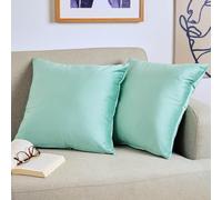 Blumtal Set di 2 Federe Cuscini Divano 50x50 cm in Velluto, con Chiusura Lampo Invisibile, Eleganti Copricuscini Divano in Morbido Velluto,Taglia 50 x 50, Verde Chiaro