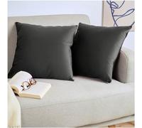 Blumtal Set di 2 Federe Cuscini Divano 50x50 cm in Velluto, con Chiusura Lampo Invisibile, Eleganti Copricuscini Divano in Morbido Velluto,Taglia 50 x 50, Antracite