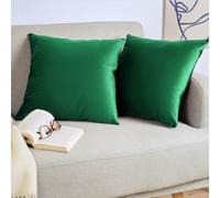 Blumtal Set di 2 Federe Cuscini Divano 60x60 cm in Velluto, con Chiusura Lampo Invisibile, Eleganti Copricuscini Divano in Morbido Velluto,Taglia 60 x 60, Verde Natura