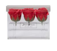 Blush & Blossom C03P Fiori, Passione, One Size