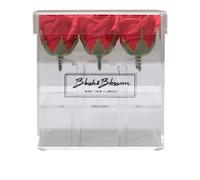 Blush & Blossom C09P Fiori, Passione