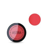 Blush Expert Effetto Mat - Colore: 05 Corail nude
