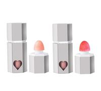 Blush liquido 2 pcs 2 colori di lunga durata arrossamento naturale opaco naturale per le guance con la testa di pennello per le ragazze che donne si compongono