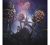 Blut Aus Nord - Hallucinogen