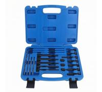 BLWOTMOR Kit Riparazione Filetti Estrattore Candelette Strumenti Inserti Attrezzi per Estrazione E Riparazione di Filetti in Motori con Custodia con Cerniera