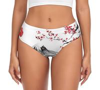 BLWSLC Japanese Mount Red Sun - Slip da donna a vita bassa con motivo sole | Biancheria intima basic per tutte le stagioni, taglie XS-4XL, Nero , 4XL