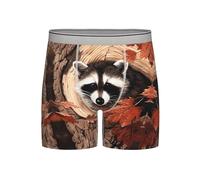 BLWSLC Stampe Raccoon in The Fall Tree Hole | Biancheria intima extra lunga ad asciugatura rapida e traspirante, disponibile in (S-4XL), Grigio chiaro, S