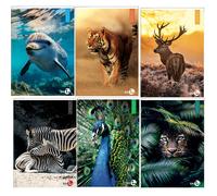 BM - 0110379 - Maxiquaderno Animal fantasia - A4 - 40+2 fogli - 80gr - 4mm - BM - 82530 - Conf. da 10 Pz. - 0110379