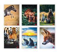 BM - 0110382 - Maxiquaderno Animal fantasia - A4 - 40+2 fogli - 80gr - 10mm - BM - 82533 - Conf. da 10 Pz. - 0110382