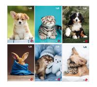 BM - 0110390 - Maxiquaderno Cute fantasia - A4 - 40+2 fogli - 80gr - 5mm c-margine - BM - 81331 - Conf. da 10 Pz. - 0110390