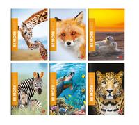BM - 0120562 - Maxiquaderno Be More Wild - A4 - 36+2 fogli - 100gr - 1 rigo c-margine - BM - 81926 - Conf. da 10 Pz. - 0120562