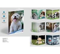 Bm 81331 Maxiquaderno A4, 40Fg+2, 80 Gr, 5 Mm con Marigne Cute