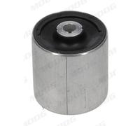 BM-SB-14569 Supporto, Braccio oscillante Moog