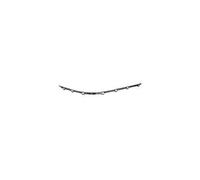 BM0441247 profilo destro cromato per modanatura per Bmw Serie 5 E39 11/95-08/00