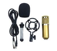 BM800 - Set microfono con supporto per treppiedi e filtro pop in schiuma a doppio strato con filtro acustico Plug & Play Gold