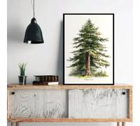 BMGKYAGL Modern Pine Coast Redwood Eastern Redbud Natural Tree Canvas Living Room Bedroom Wall Art Home Decor 60x80cm frame