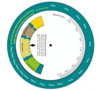 BMI Calcolatrice Disco girevole per determinare rapidamente l'indice di massa corporea per dimensioni e peso per assegni sanitari 15 cm scheda rotonda (MS10)