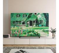 BMKGODN Copertura protettiva for schermo TV LCD LED for pittura a olio antiscivolo montata a parete addensata for la decorazione domestica, Colore: C(A,37in(93x60cm))