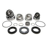 BMW 1 M M3 M5 M6 Z4 Kit riparazione cuscinetti differenziale posteriore tipo 215